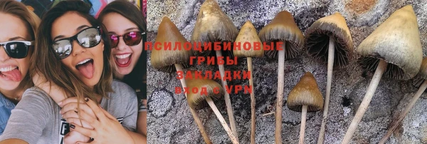 метадон Арсеньев