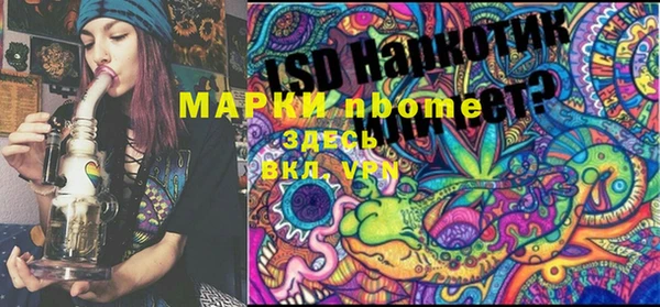 Альфа ПВП Аркадак