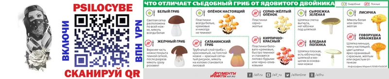 Купить где  Унеча  Псилоцибиновые грибы ЛСД 