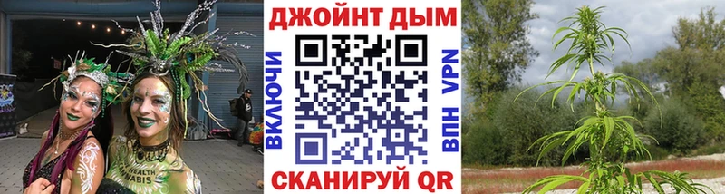 Купить закладки  Унеча  Бошки марихуана сатива 